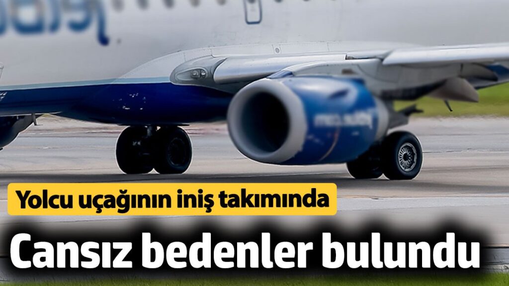 abdde yolcu ucaginin inis takiminda 2 kisinin cansiz bedeni bulundu t21NTRHI