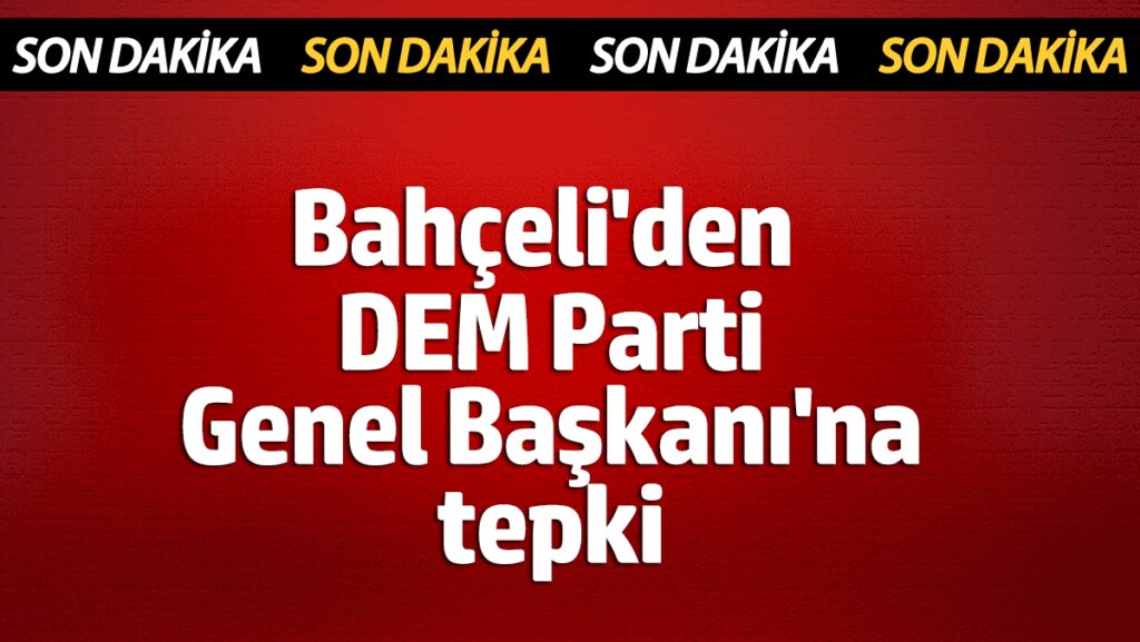 devlet bahceliden dem parti genel baskanina tepki rvLdmKHT