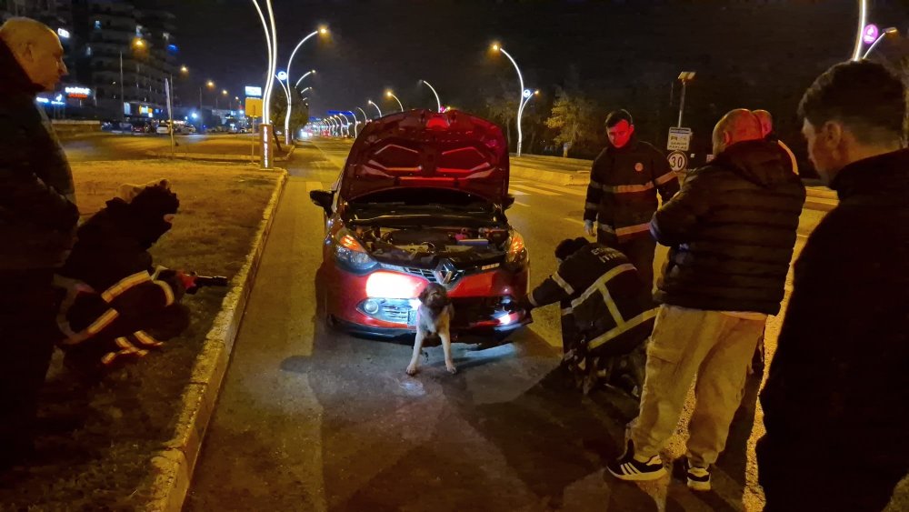 kopek yari beline kadar tampona gomuldu edirne itfaiyesi seferber oldu 6 ycLlchJZ