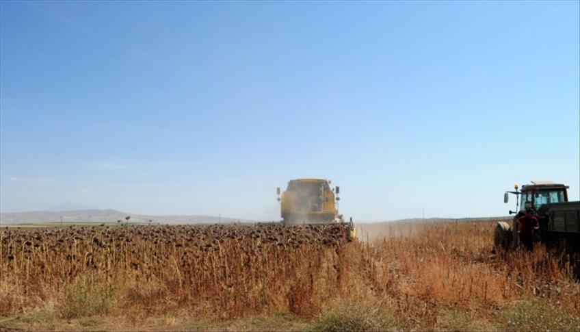 tarim ve orman bakanligi pestisitlere iliskin kalinti limitlerini duzenledi 0