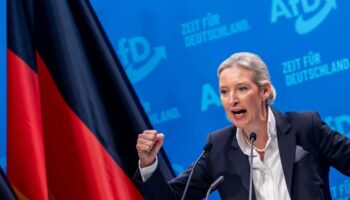 almanyada yumruklar sikildi alice weidel hem nalina hem mihina vurdu PBHtJm3E