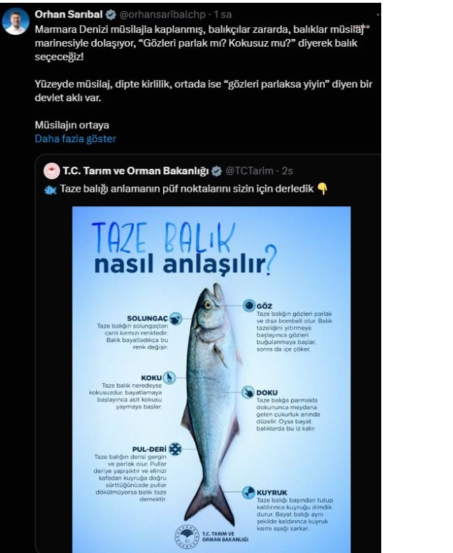 bakanligin taze balik paylasimina tepki geldi chpli vekil isyan etti 1