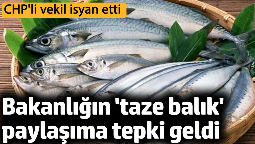 bakanligin taze balik paylasimina tepki geldi chpli vekil isyan etti xax34PVK