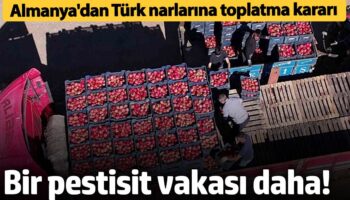 bir pestisit vakasi daha almanya turk narlarini toplatma karari aldi O5Q8eOpI