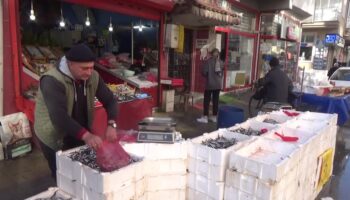 edirnede hamsinin fiyati dustu vatandaslar akin etti aa7AUZcX
