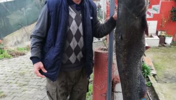 gorenler gozlerine inanamadi 178 boyunda yayin baligi yakaladi CWiBdfVL