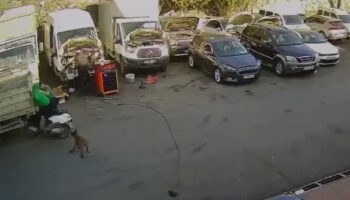 istanbulda korku dolu anlar kopekten kacan motosikletli kamyonete carpti k8atqYpG