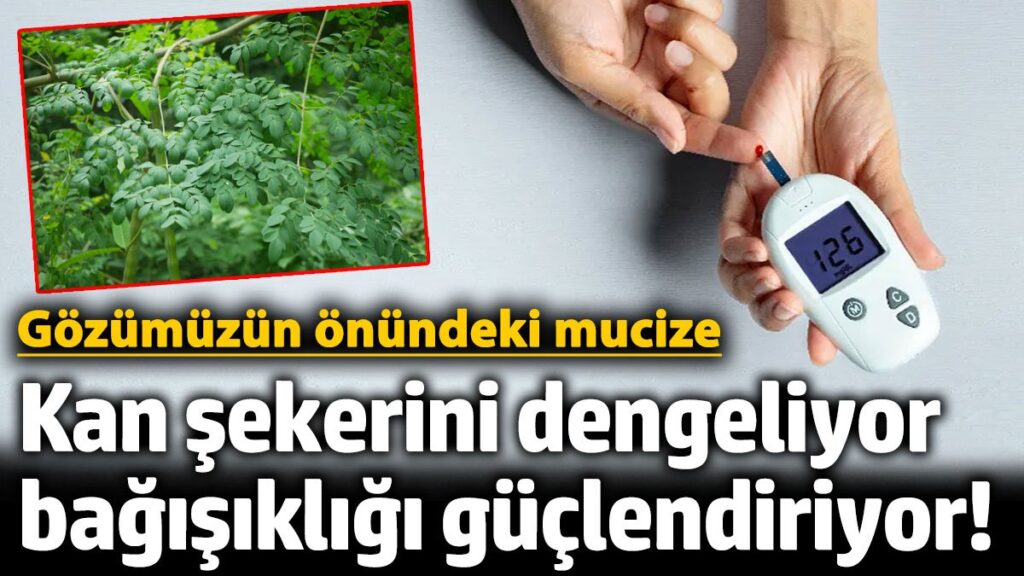 kan sekerini dengeliyor bagisikligi guclendiriyor iste gozumuzun onundeki mucizevi bitki YqzNPqly