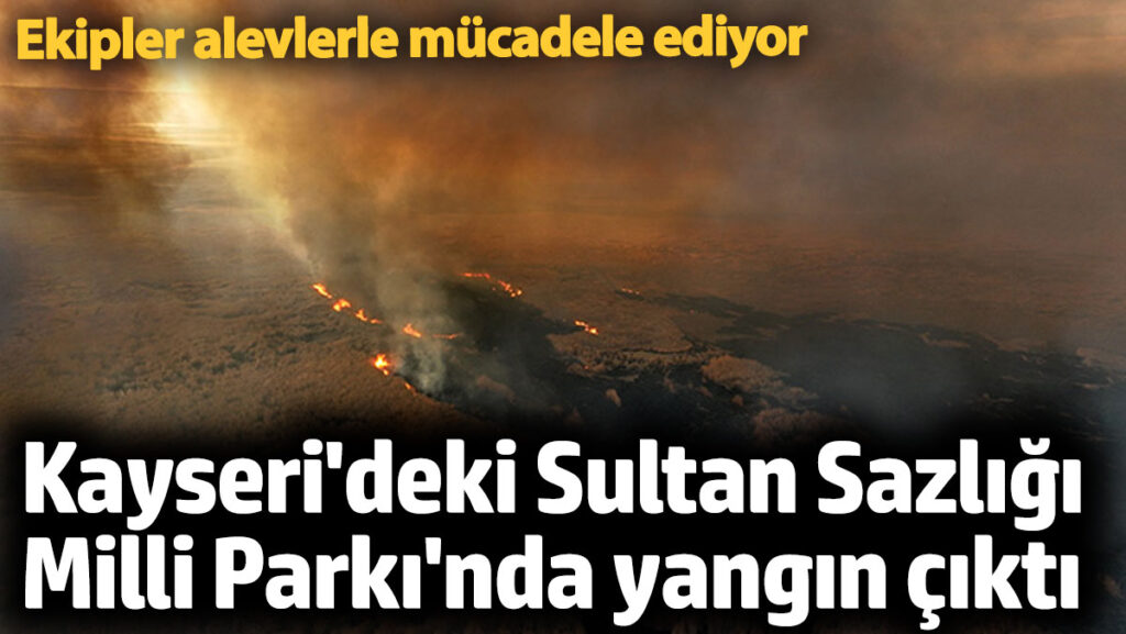 kayserideki sultan sazligi milli parkinda yangin cikti ekipler alevlerle mucadele ediyor gRh5Ii3P
