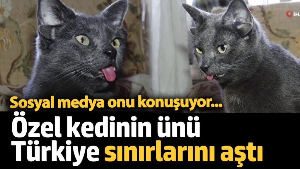 midasin unu turkiye sinirlarini asti sosyal medya onu konusuyor IuZmM5fw