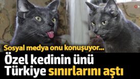 midasin unu turkiye sinirlarini asti sosyal medya onu konusuyor IuZmM5fw