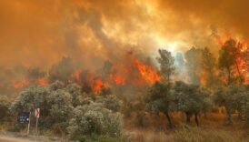 orman yanginlarinin yuzde 59u insan kaynakli AMfGABfm
