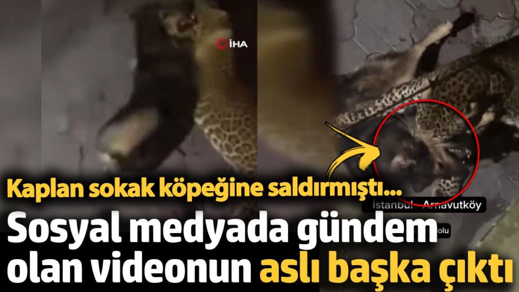 sosyal medyada gundem olan videonun asli baska cikti 3vU4Ywsp