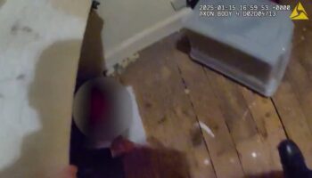 supheli yatagin altindan cikti QPvgfL3H