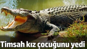 timsah kiz cocugunu yedi hV8yn1p3