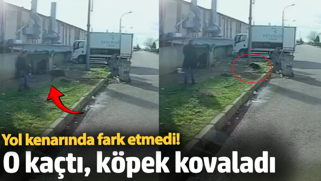 yol kenarinda fark etmedi o kacti kopek kovaladi ys1asMGz