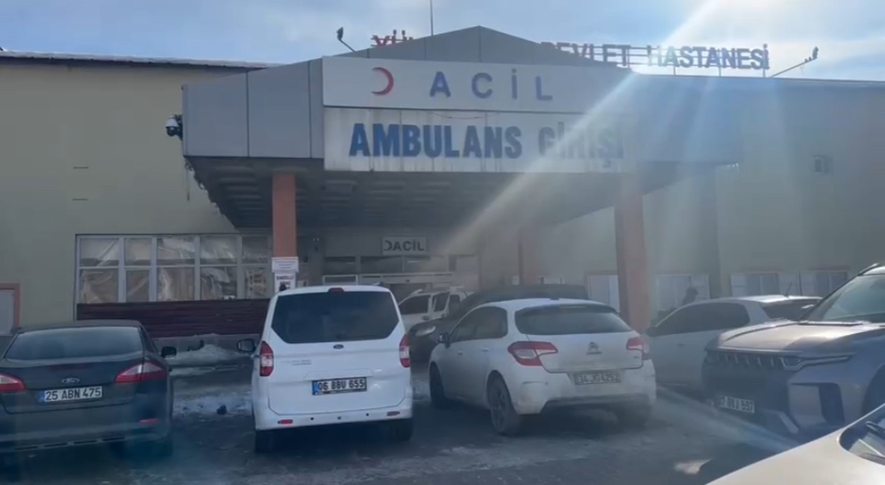 12 yasindaki kiz hayatini kaybetti sokak kopekleri saldirmisti yuksekovada dehset 5 IGG3PLcQ