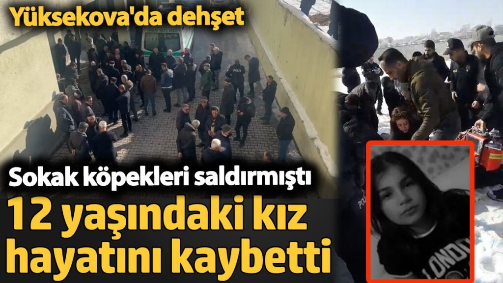 12 yasindaki kiz hayatini kaybetti sokak kopekleri saldirmisti yuksekovada dehset TrSAuwIZ