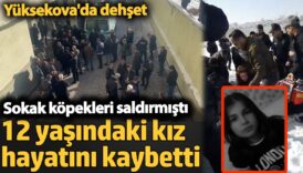 12 yasindaki kiz hayatini kaybetti sokak kopekleri saldirmisti yuksekovada dehset TrSAuwIZ