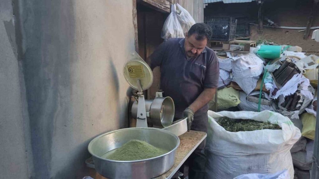 120 cesit bitkinin karisimiyla elde edilen baharat zetrin wBw6rfJm