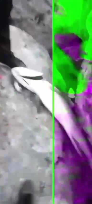 30 kiloluk balik 13 bin lirasindan etti 0 GqGft7V9