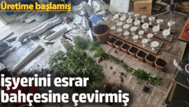 adanada isyerini esrar bahcesine cevirmis uretime baslamis ycekCWPu
