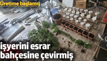 adanada isyerini esrar bahcesine cevirmis uretime baslamis ycekCWPu