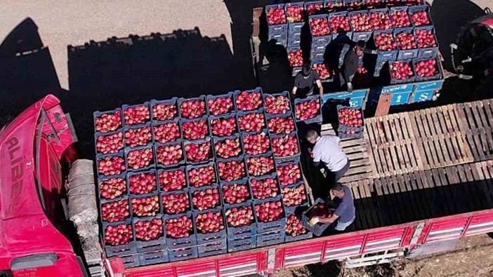 almanyaya ihrac edilen kuru uzumler geri gonderiliyor tehlikeli koduyla piyasadan geri cekildi 0