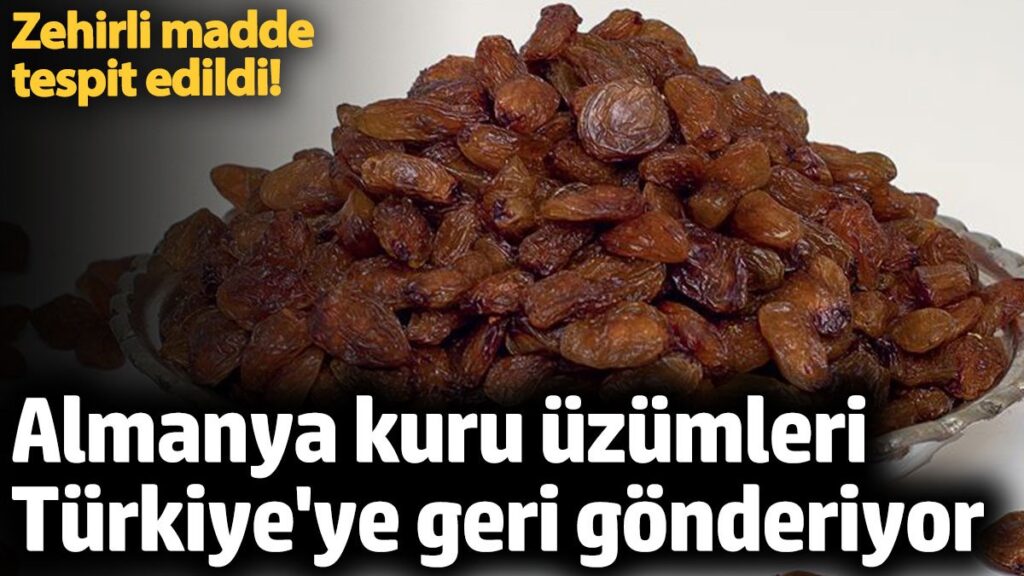 almanyaya ihrac edilen kuru uzumler geri gonderiliyor tehlikeli koduyla piyasadan geri cekildi HYJh7f6U