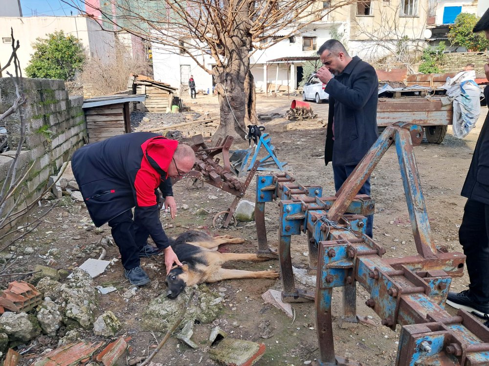 antalyada kan donduran anlar hic acimadi av tufegiyle kopegi vurdu 0 m8K6hZbq