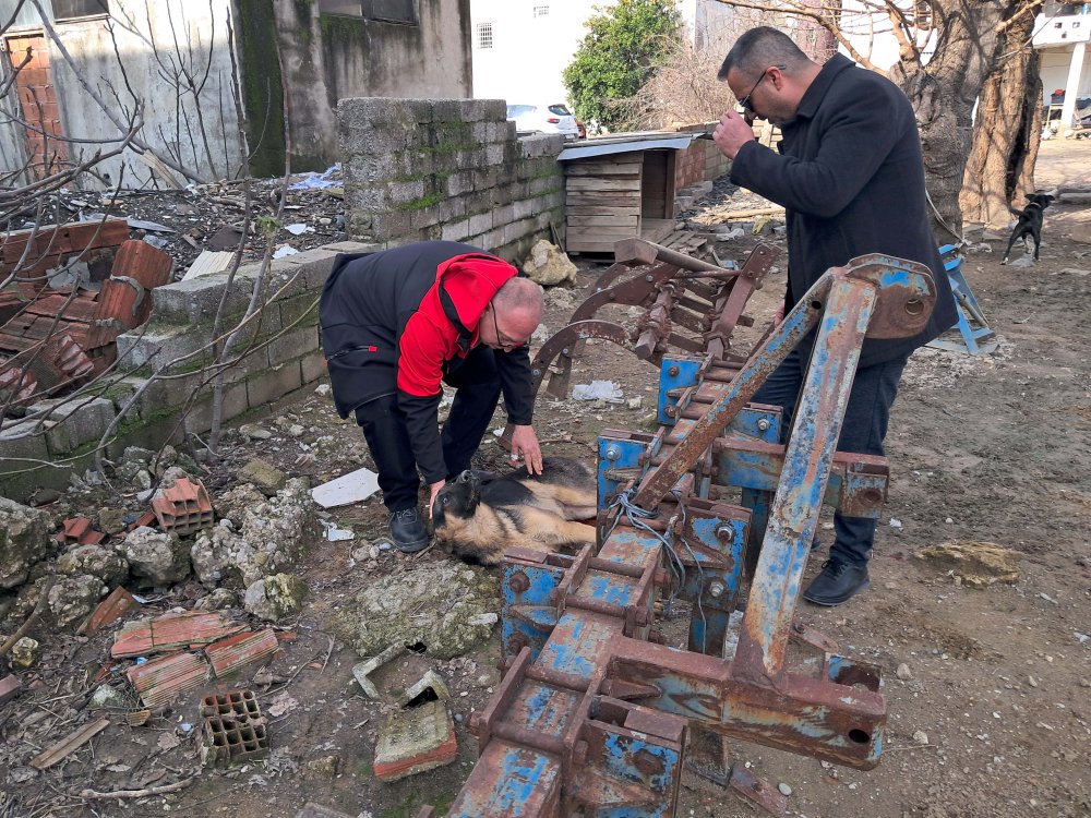 antalyada kan donduran anlar hic acimadi av tufegiyle kopegi vurdu 1 ia5rhBkN