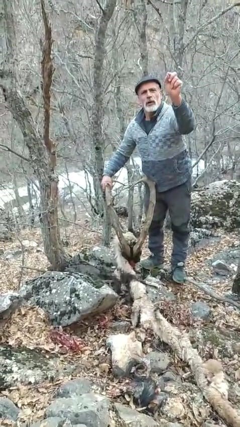 avcilar oldurdu derisini yuzdu 1 Il5HdDYq
