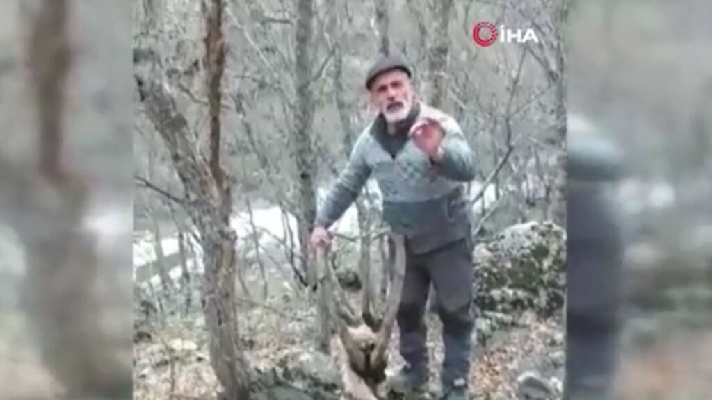 avcilar oldurdu derisini yuzdu qHMMty7B