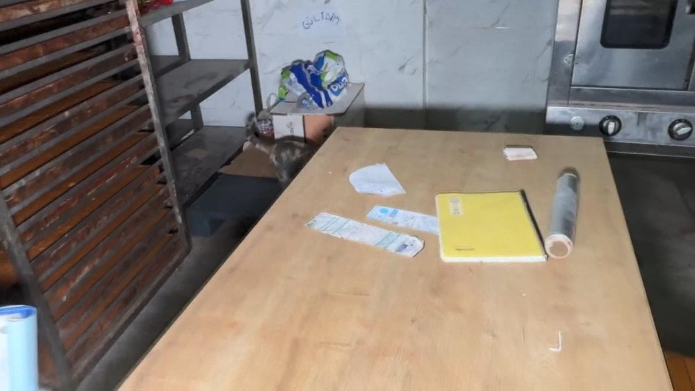 avcilarda zabita muhurledi onlar hizmete acti uretim yaparken yakalandilar 7 3G92PfW5