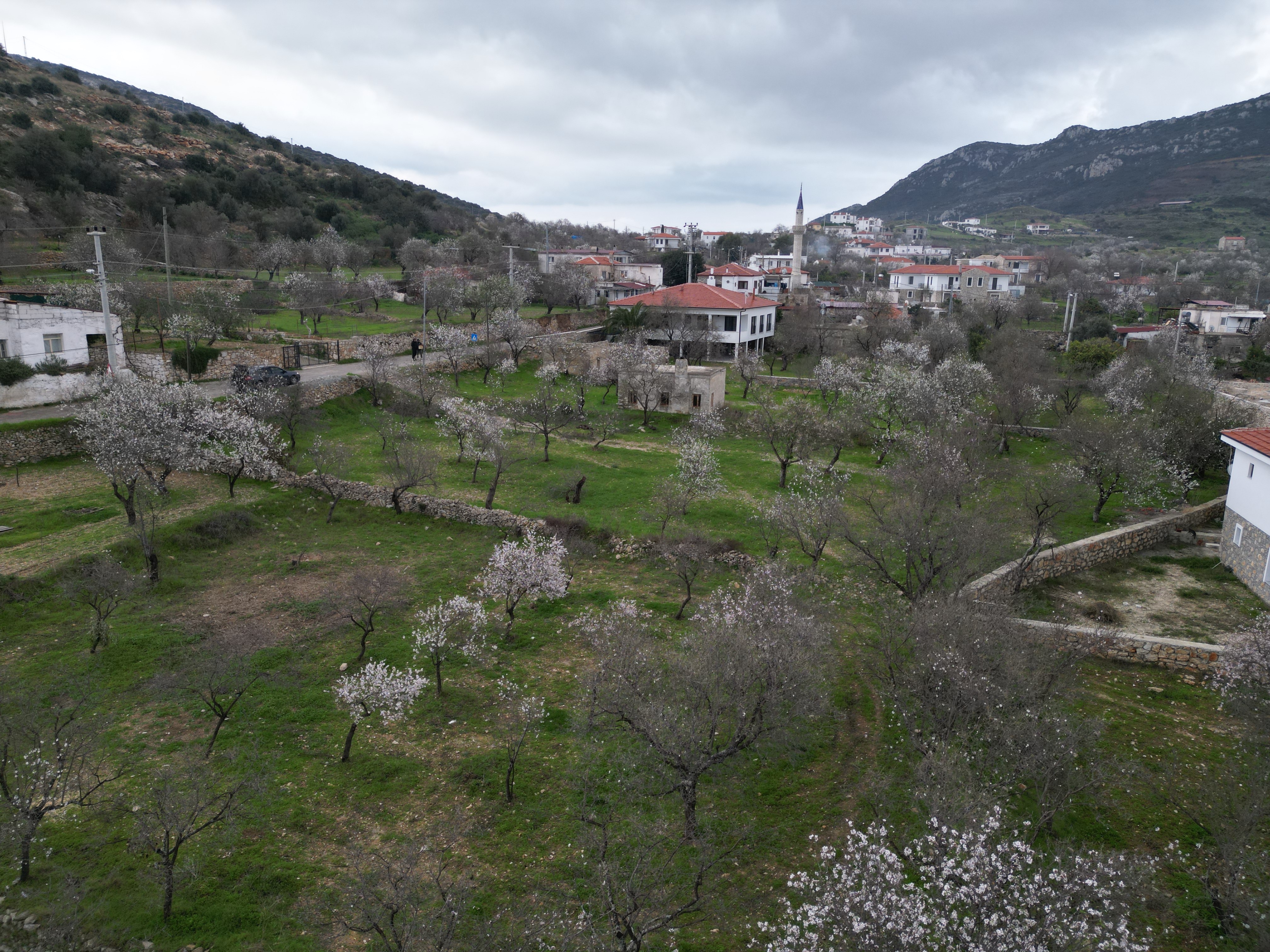 beyaz gelinligini giydi ilk meyveleri subat ayinda 3 wS9FPleP