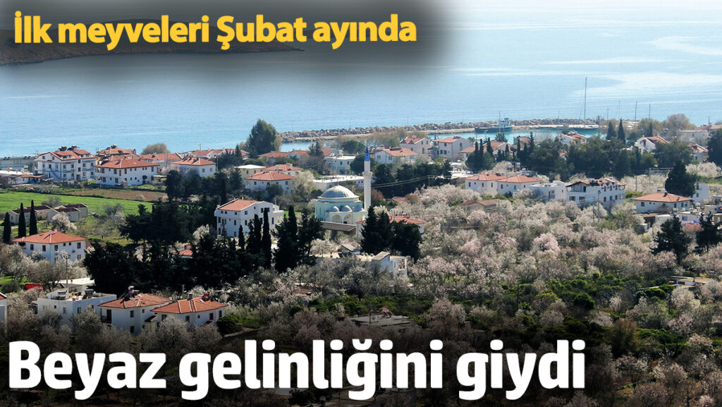 beyaz gelinligini giydi ilk meyveleri subat ayinda QpHLIdzZ