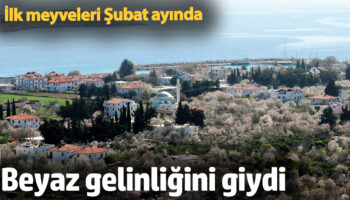 beyaz gelinligini giydi ilk meyveleri subat ayinda QpHLIdzZ
