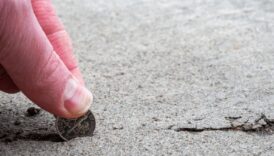 bilimde devrim olusturacak beton kesfi gelecegin yollari AjjikfJG