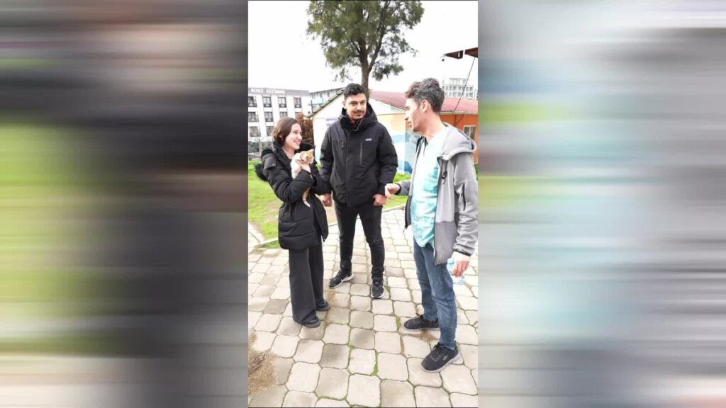 bucanin mucize kedisi yuvasina kavustu ZwyRBP9C