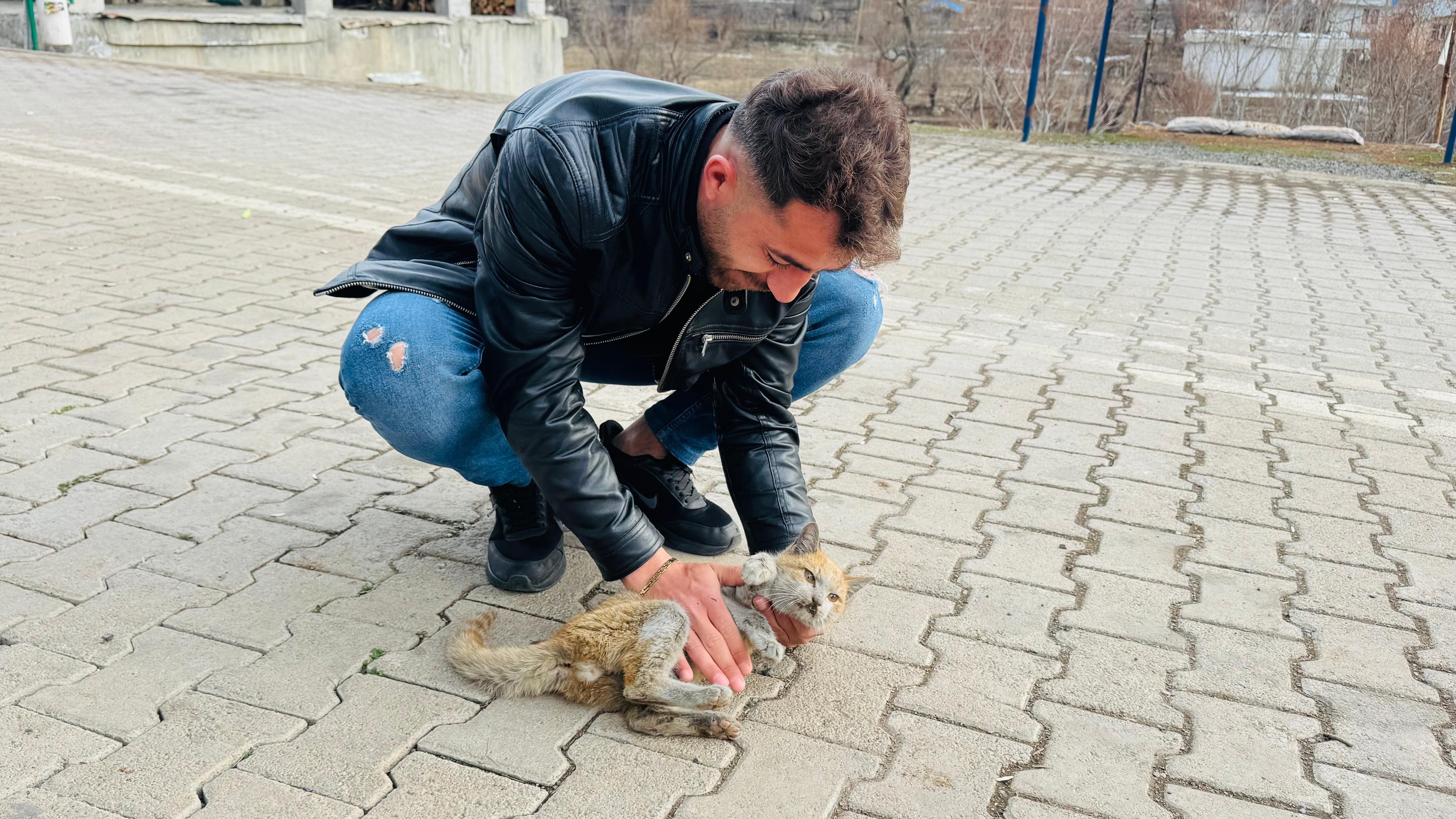 can cekisen kediye kalp masaji 0