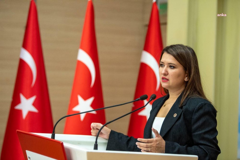 chpli gokce gokcenden ayse barimin gozaltina alinmasina tepki hepimiz gezideydik 0 ZFnwiqHy