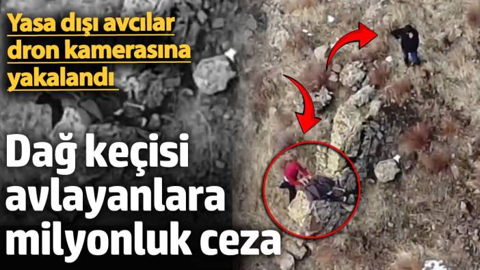 domates yikadim dedi gercek bambaska cikti yaban kecisi avcisinin yalani dna analiziyle curudu 661 y1zDeiwc