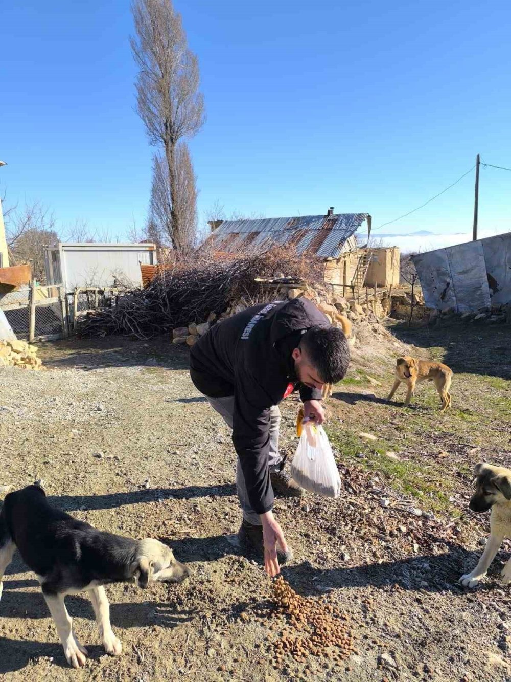 elazig sokak hayvanlarini unutmadi 1 FqQSziKh