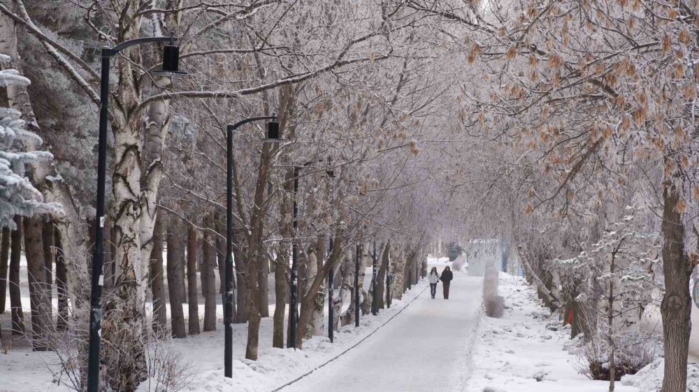 erzurum iki mevsimi bir arada yasiyor 1 71zPXqat