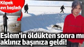 eslem oldukten sonra mi akliniz basiniza geldi kopek avi basladi BwG9jg2J