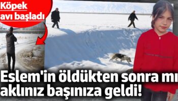 eslem oldukten sonra mi akliniz basiniza geldi kopek avi basladi BwG9jg2J