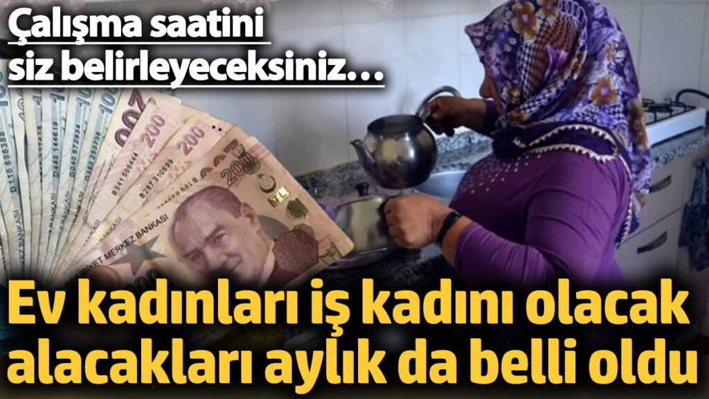 ev kadinlari is kadini olacak alacaklari aylik da belli oldu calisma saatini siz belirleyeceksiniz RQIcae4M