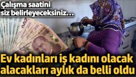 ev kadinlari is kadini olacak alacaklari aylik da belli oldu calisma saatini siz belirleyeceksiniz RQIcae4M