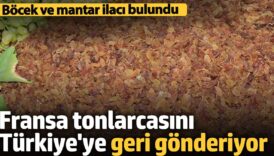 fransa tonlarcasini turkiyeye geri gonderiyor bocek ve mantar ilaci bulundu 1xgZBAvB
