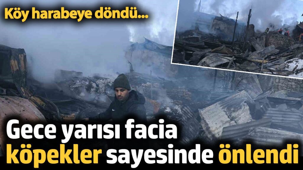 gece yarisi facia kopekler sayesinde onlendi 1vZKBPH9